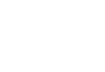 IT solution